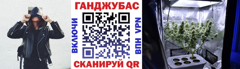 Бошки марихуана конопля  Купить закладки  Володарск 